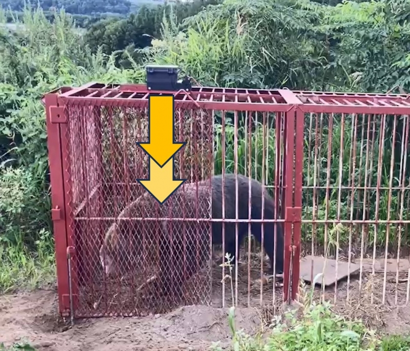 株式会社 ヴィレッジロード